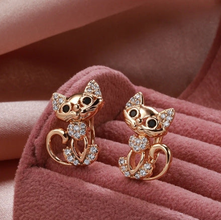 Rings & Earrings
